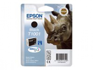 Epson T1001