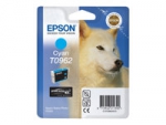 Epson T0962