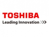 Toshiba Primary Battery Pack